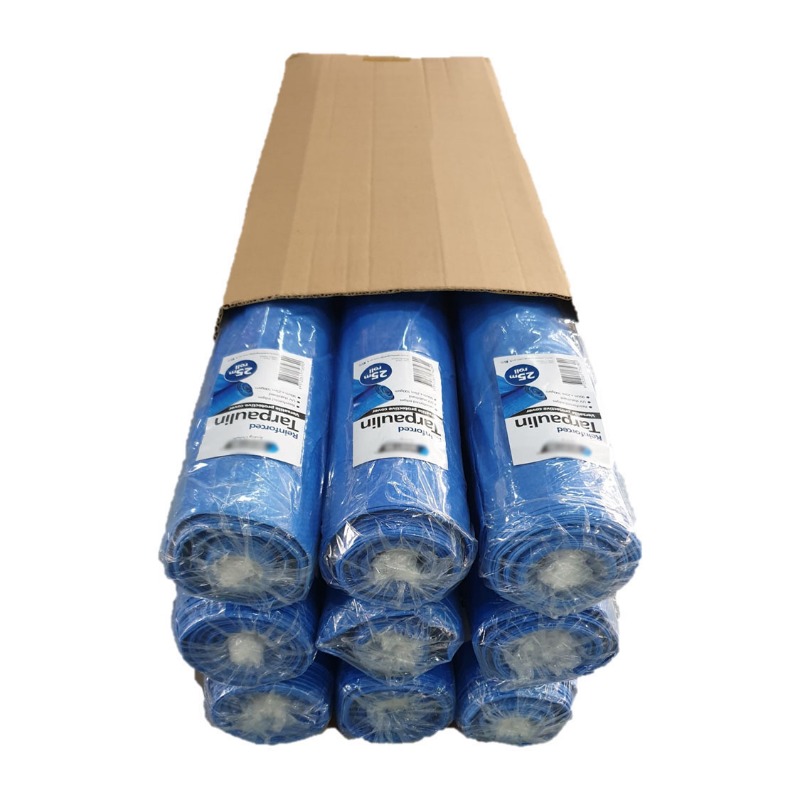 Finished roll product with carton packing.jpg
